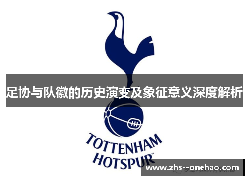 足协与队徽的历史演变及象征意义深度解析